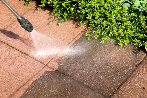  Byron, IL Pressure Washing Pros